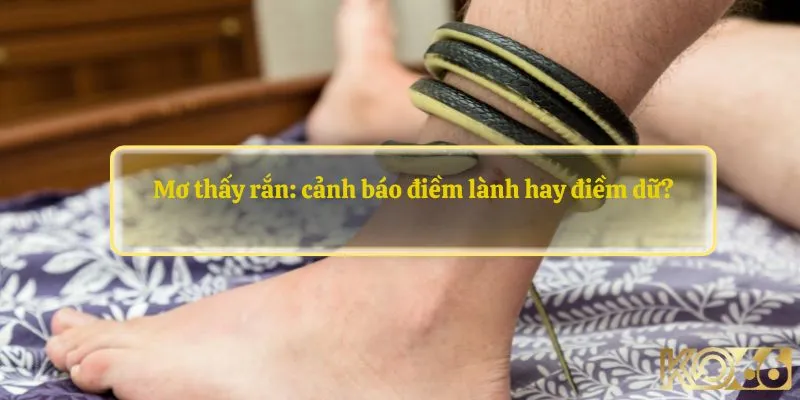 Mơ thấy rắn: cảnh báo điềm lành hay điềm dữ?